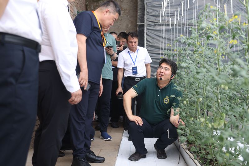 以太坊钱包手机版下载数字经济助力设施农业高质量发展论坛在京举行，探讨数字技术推动农业未来