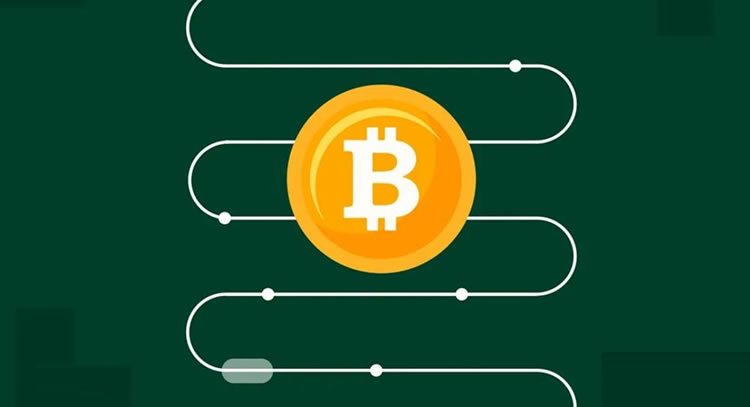 比特币价格飙升：长期持有比特币是否明智？投资者必读指南