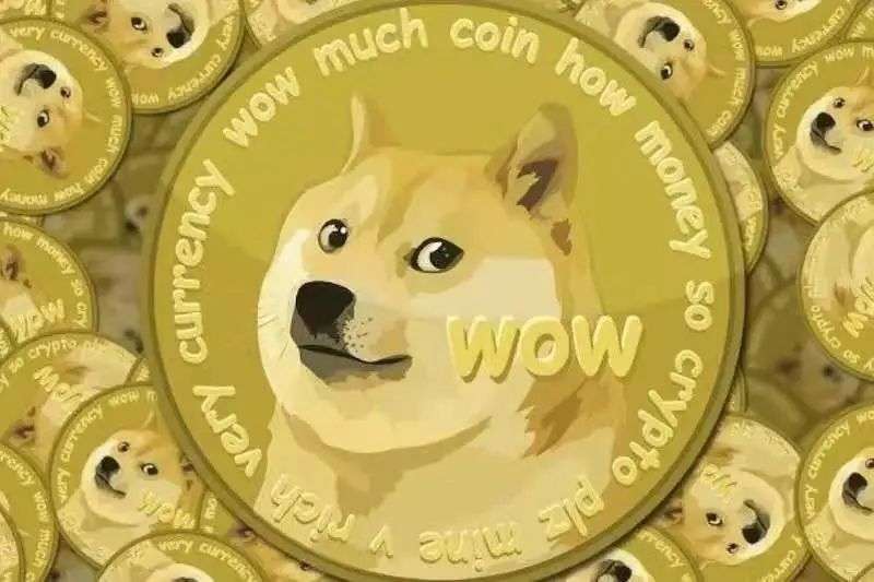 狗狗币价格波动大揭秘：一周内暴涨500%后暴跌，投资者悲喜交加