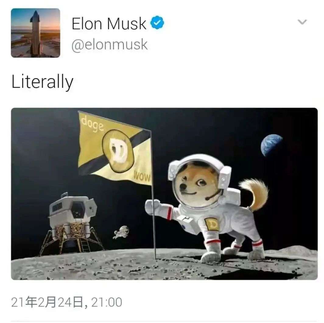 狗狗币如何玩_从游戏到投资：狗狗币如何吸引年轻用户_狗狗币的玩法