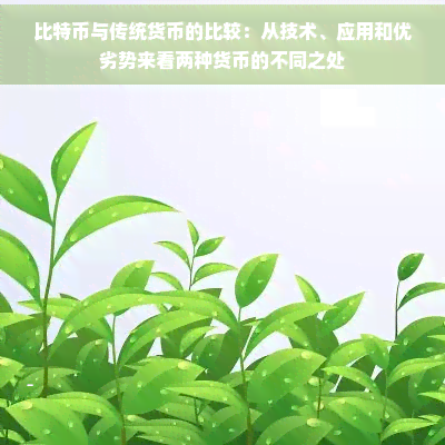 比特币与传统货币对比：技术基础、应用场景及优劣势分析